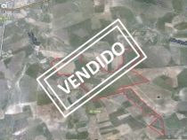 Addmeet Inversión, Finca rústica Subasta en Écija