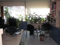 Addmeet Inversión, Oficina Subasta en Madrid