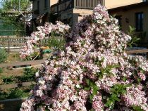 Addmeet Inversión, Hotel rural En venta en Cedeira