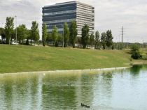 Addmeet Alquiler, Oficinas-Edificio oficinas Alquiler en Sant Cugat del Vallès
