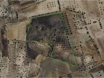 Addmeet Inversión, Finca rústica Subasta en Lucillos