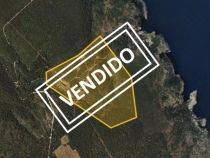 Addmeet Inversión, Finca rústica Subasta en Torroella de Montgrí