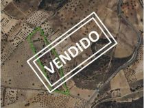 Addmeet Inversión, Finca rústica En venta en Lucillos